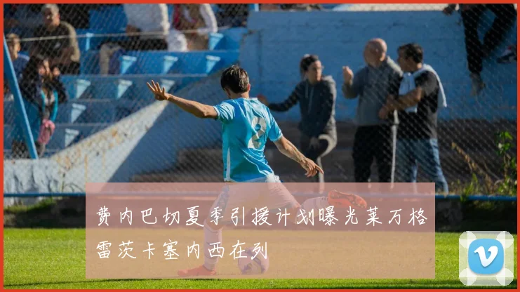 费内巴切夏季引援计划曝光莱万格雷茨卡塞内西在列