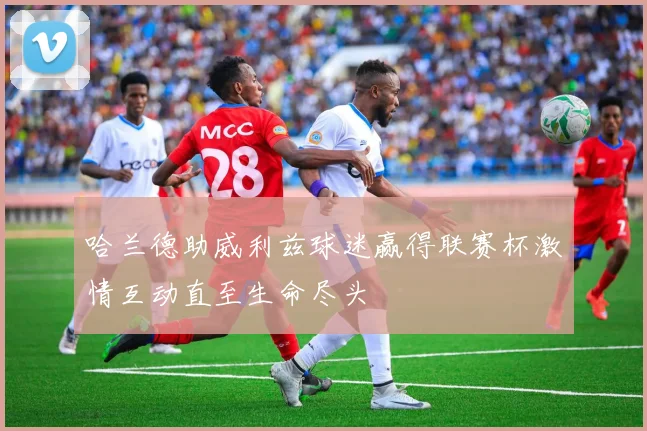 哈兰德助威利兹球迷赢得联赛杯激情互动直至生命尽头